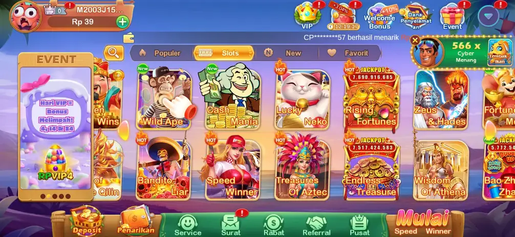 RPVIP4 Screenshot 2